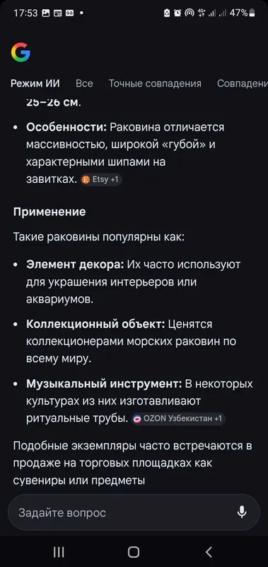 Большая Морская Ракушка с карибского моря — фото 7