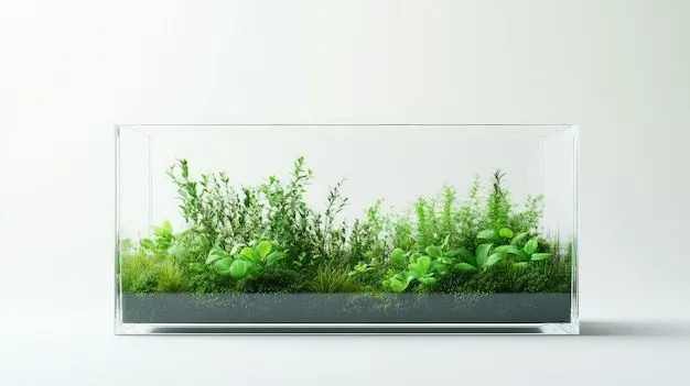 akvarium tozalash xizmati