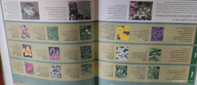 Садоводство красочная Книга для ухода за Садом. 5 Садоводство красочная Книга для ухода за Садом. 5