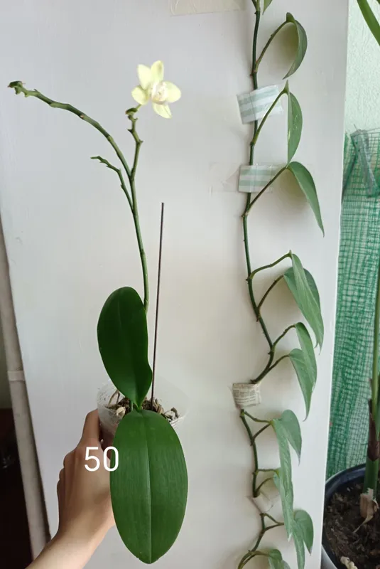 Бошка эьлонларимниям куринг — фото 7
