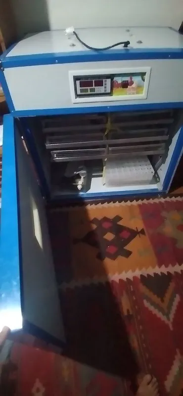 umidjonislomov10 2 umidjonislomov10 2