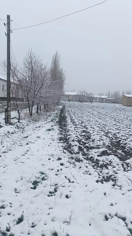 Ер сотилади 10 сотх — фото 2