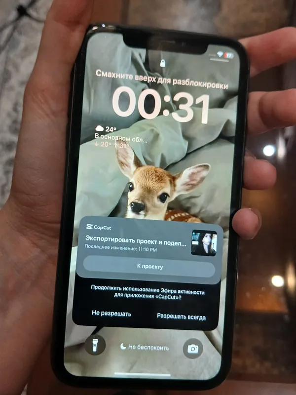 iPhone 11 64gb sotiladi srochna 2 iPhone 11 64gb sotiladi srochna 2