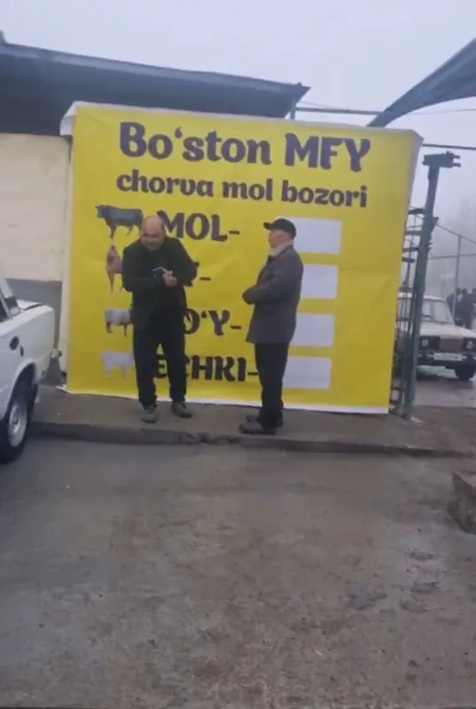 Мол бозори сотувда