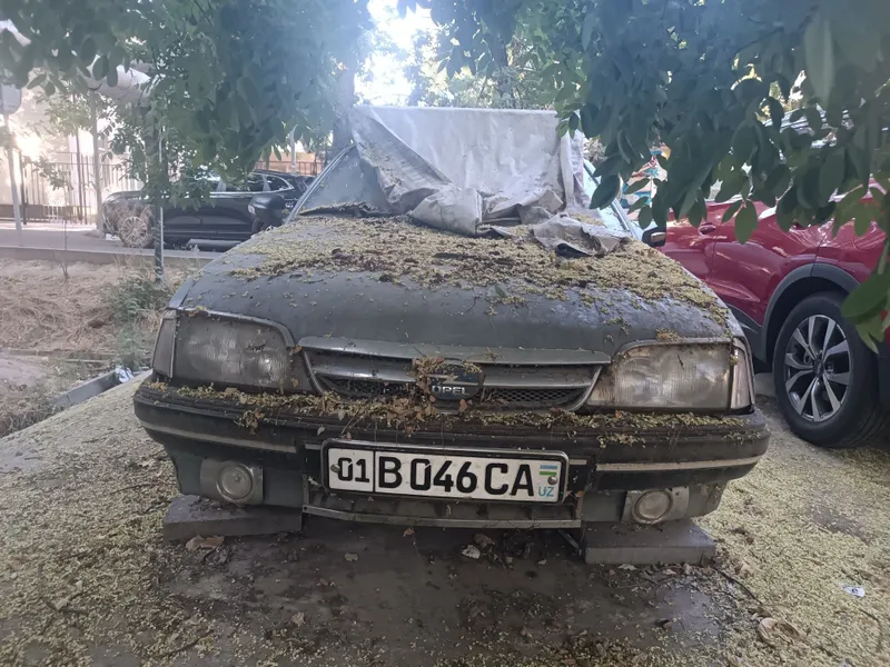Срочно opel record 1 Срочно opel record 1