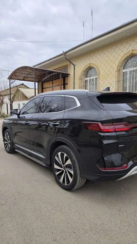 BYD CHampion DM-i — фото 3