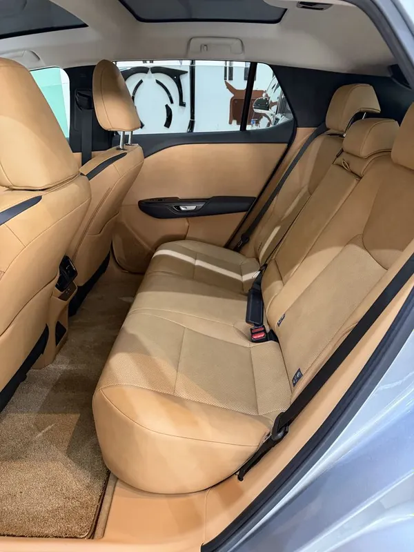 Lexus rz450e электр 520км — фото 4