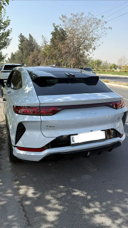 BYD SONG L 2025 ( 5 poz) — фото 1