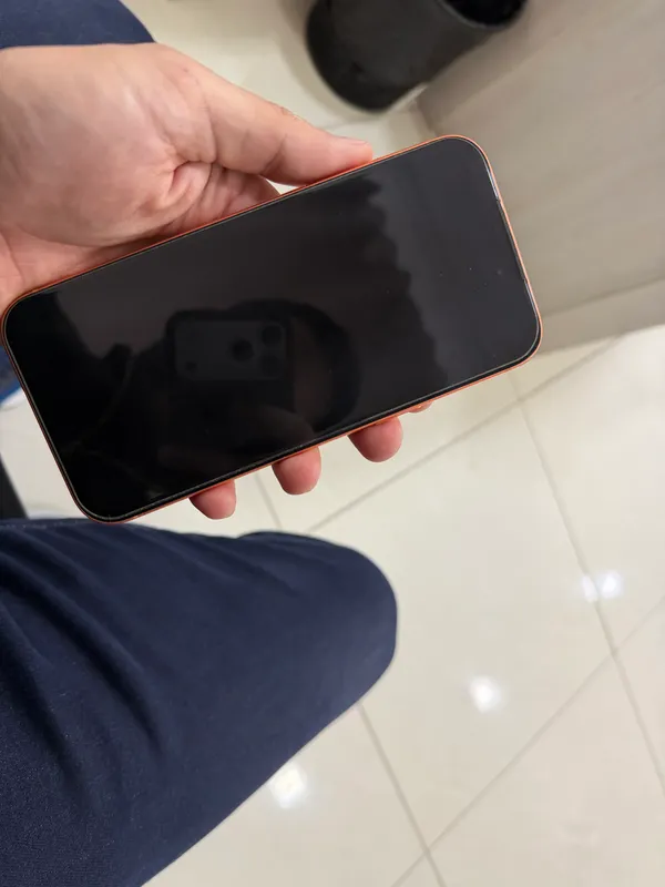 17 pro max 256gb 8