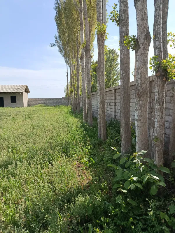 25 соток участок срочно — фото 1