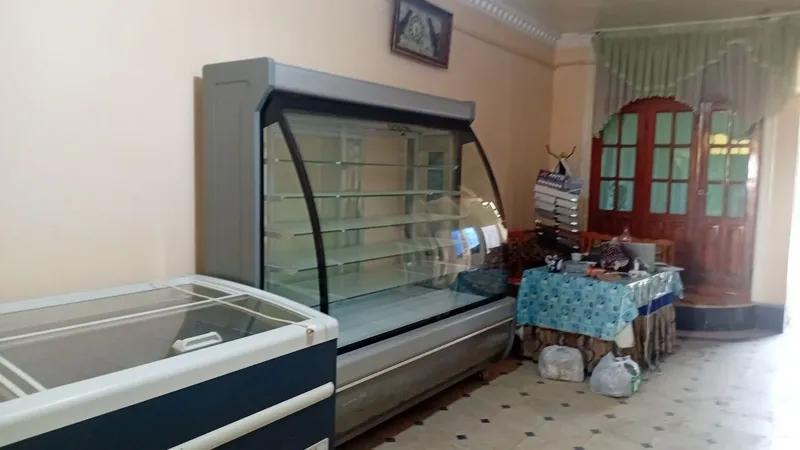 Холодильник стеничный