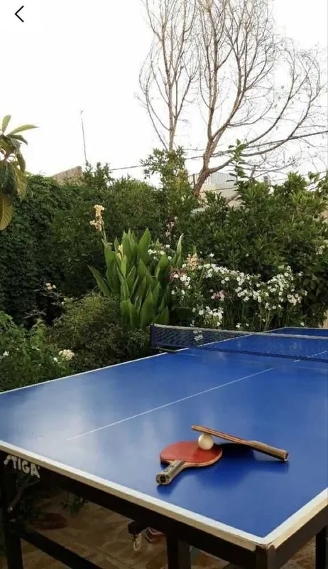 . Stol tennisi/ ping pong 1 — фото 6