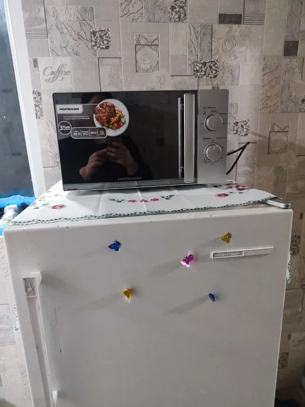 HOFMANN mikroto‘lqinli pechi 2