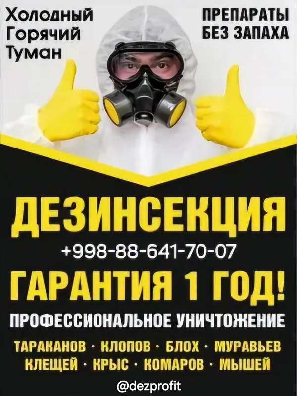 Dezinfeksiya Navoiy 24/7 — Kafolatli Litsenziya bor
