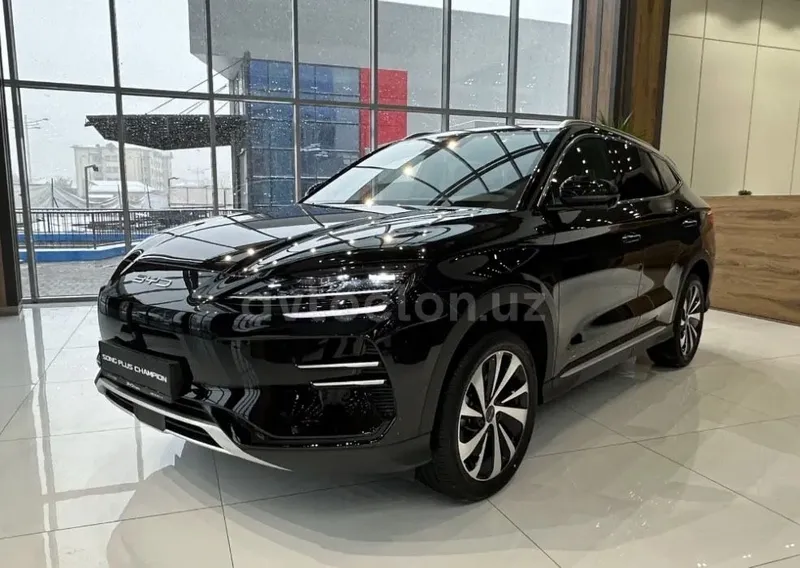Byd Champion elektro full 605km
