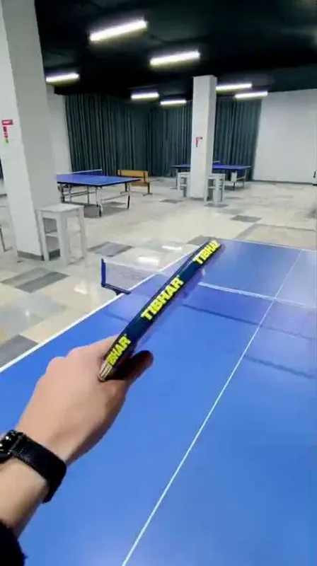 Ракетка Friendship 729 Super one star