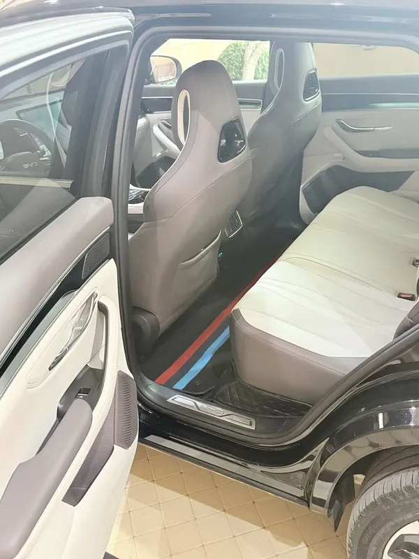 Byd Champion SMART — фото 6