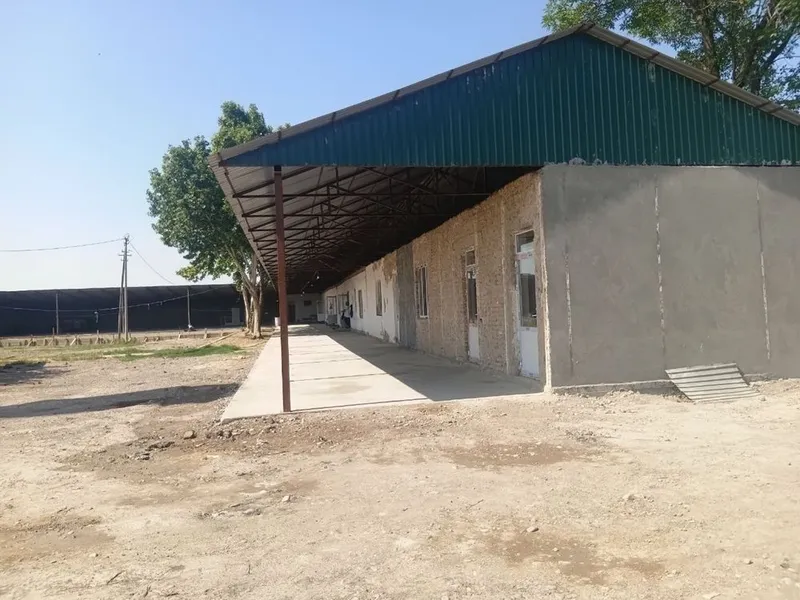 Tayyor sharoitliy ferma 8 Tayyor sharoitliy ferma 8