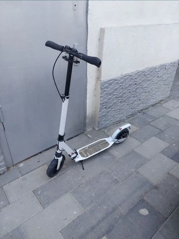 Oddiy samakat sotiladi