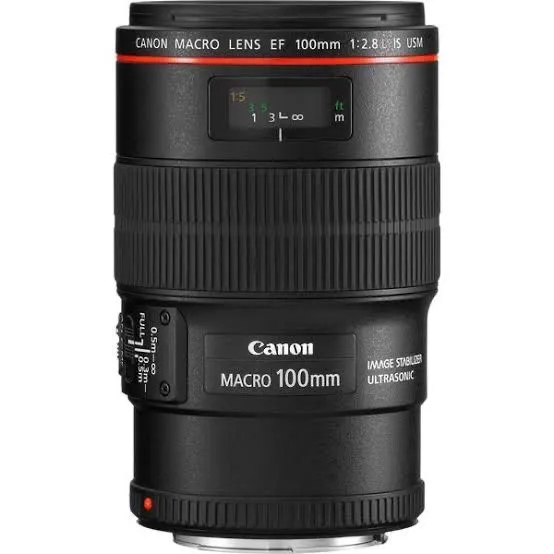 Продам Canon 800D + Canon EF 100mm f/2.8L Macro IS USM + Yongnuo YN-24 — фото 1