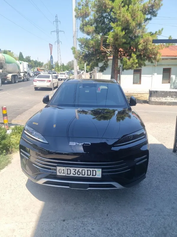 Byd champion, 150 шт. 1 Byd champion, 150 шт. 1