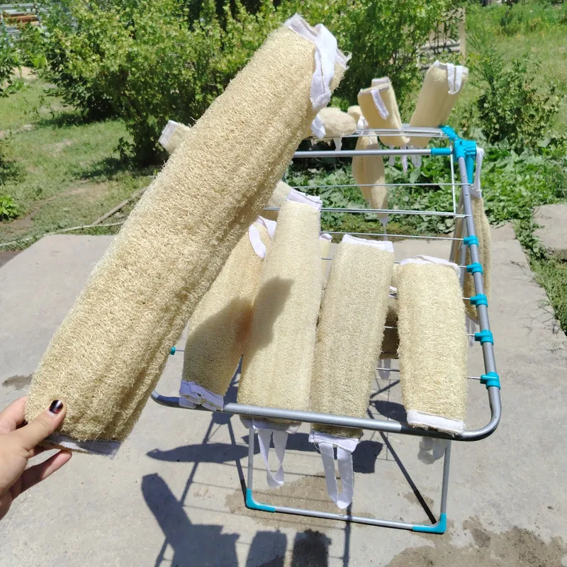 Мочалки из натуральной люфы.