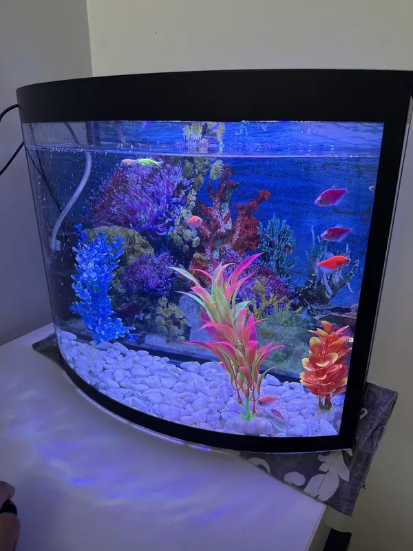Akvarium 23 litr holati ideal