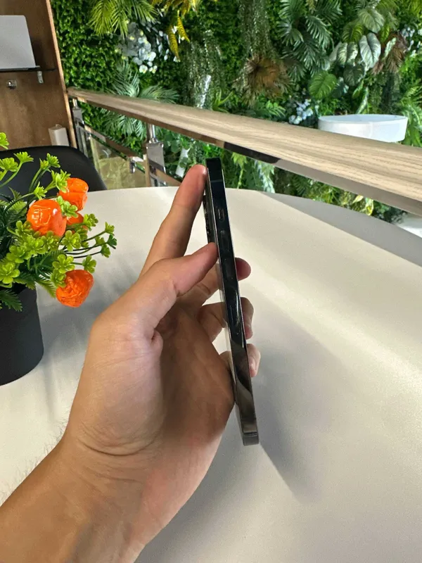iPhone 13 Pro 256gb 77% 3