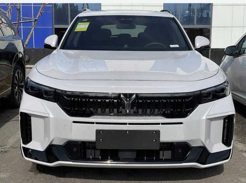 Voyah Free 318 Polniy Privid 4WD 1