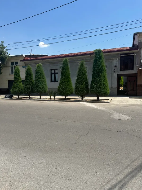 шайхантахурский улица тинчли