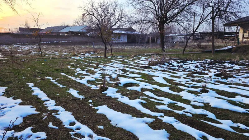 Участок земли на продажу — фото 3