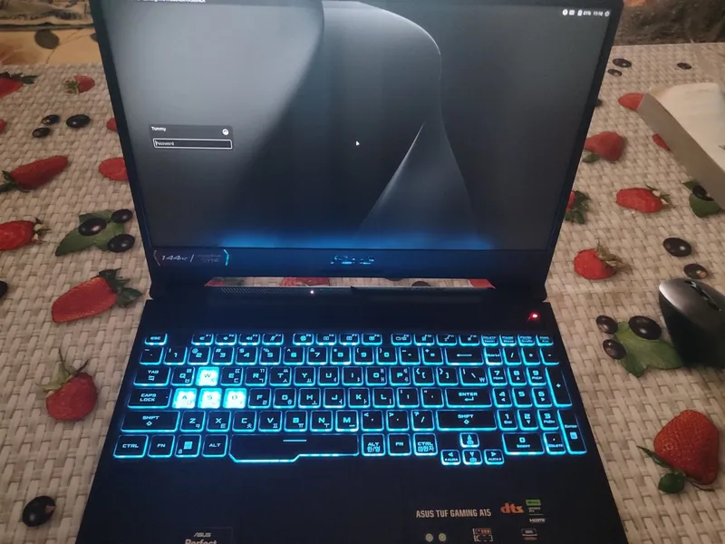Asus Tuf Gaming A15 — фото 2