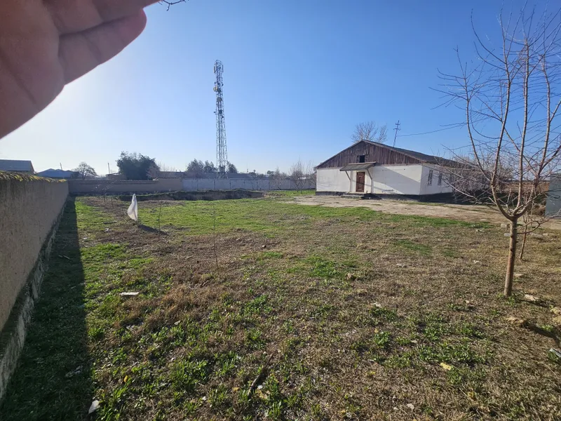 Zarbdor eski bustonda arzonga yer sotiladi