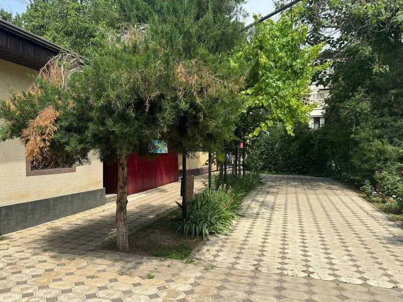 Аренда / Продажа Офиса Ц-1 - Ориентир Экопарк - 211 кв. — фото 1