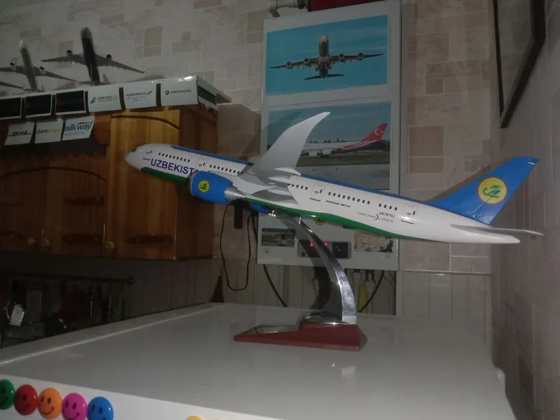 Uzbekistan Airways Boeing 787-8 Dreamliner 5