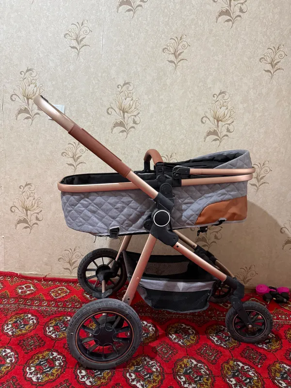 Shoshilinch 2 in 1 aravachani sotaman 1
