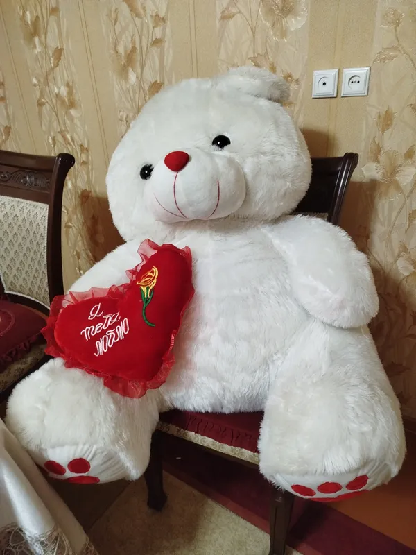 Kotta ayiqcha 1.5 metr 1
