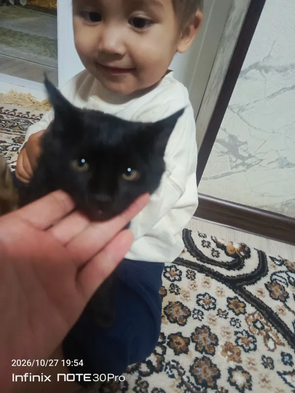 mushukcha mehribon insonlarga beriladi 4
