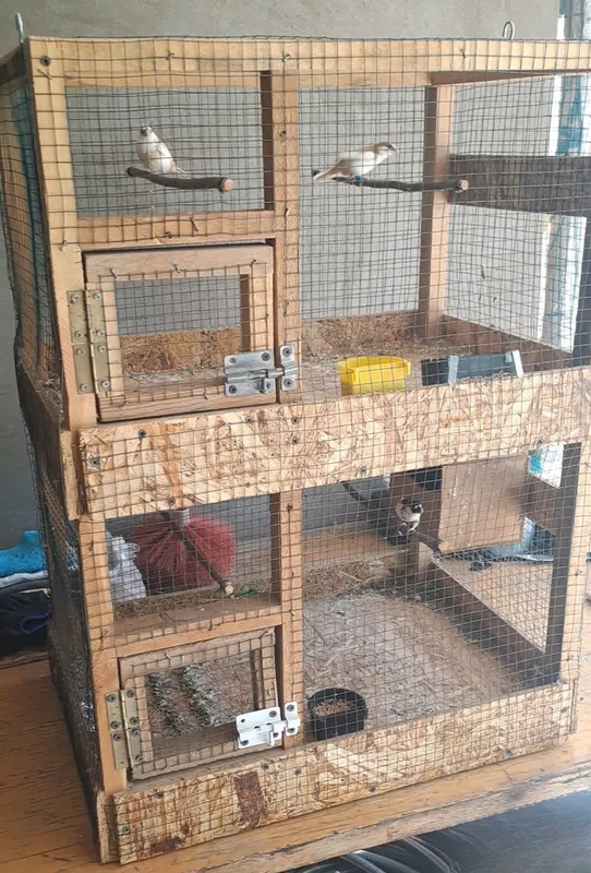2 etajli qafas sotiladi 2 etajli qafas sotiladi
