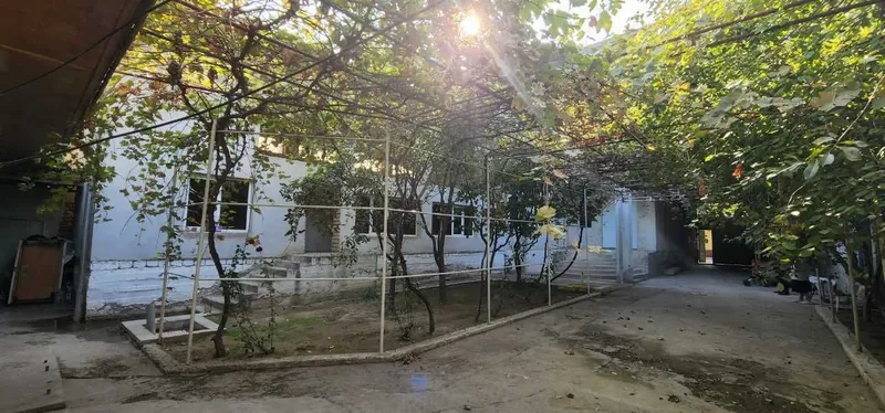 Мехмонхона биноси — фото 2