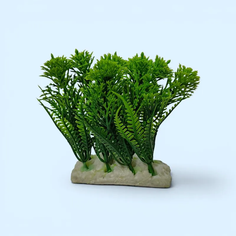Faqat Akvarium uchun 3