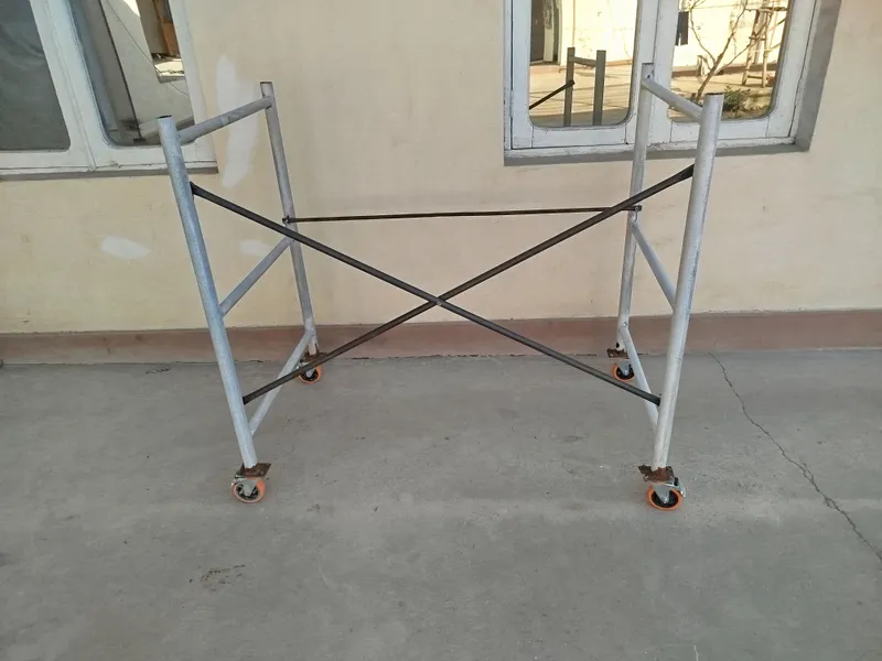 lesa 1