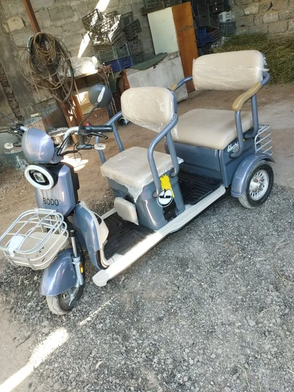 Elektro skutor . 2 Elektro skutor . 2