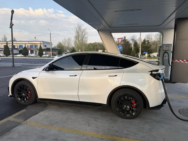 Tesla model Y Dual Longe Range — фото 4