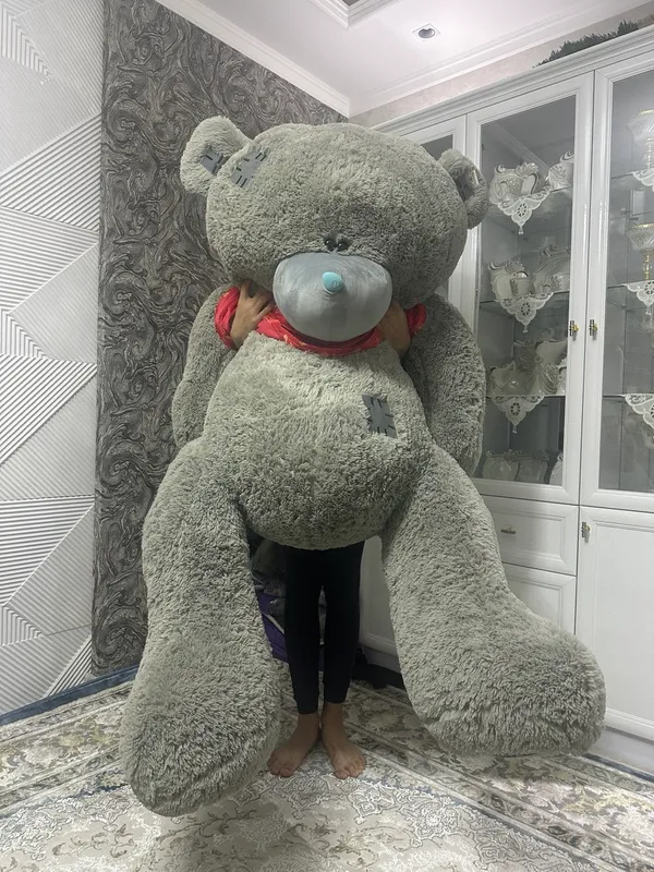 Ayiq teddy Ayiq teddy