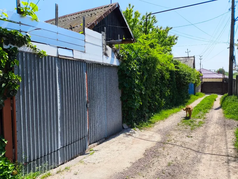 СРОЧНО! продаётся дачный участок. — фото 3