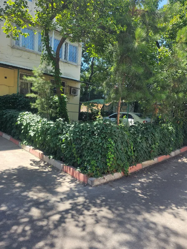 Квартира 1 Квартира 1