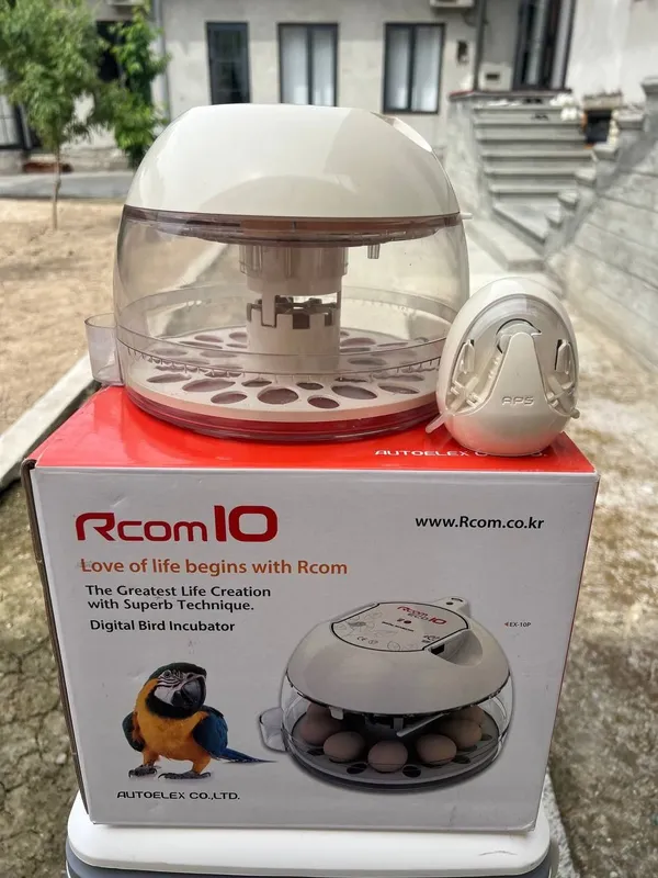 Инкубатор Rcom10 2