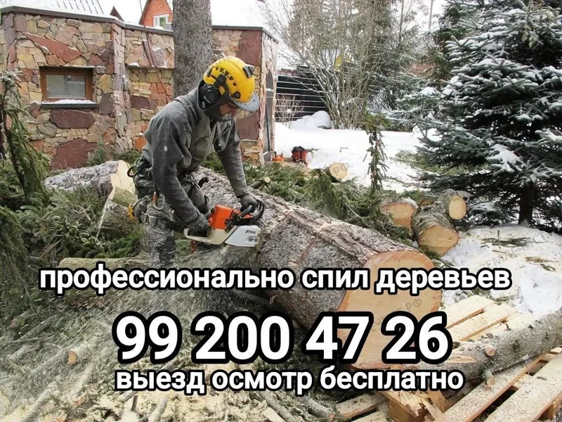 Спил деревьев здравствуйте мы предлагаем удобный сервис суборкой — фото 2