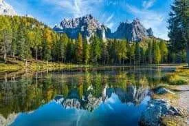 Фотообои Природа Лес на стену / Devor учун сифатли ландшафт фотообой — фото 6